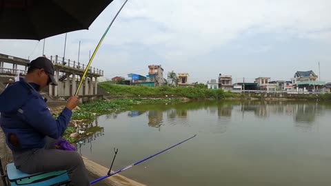 Sunfish Spin Fishing in Lake Weed Zones