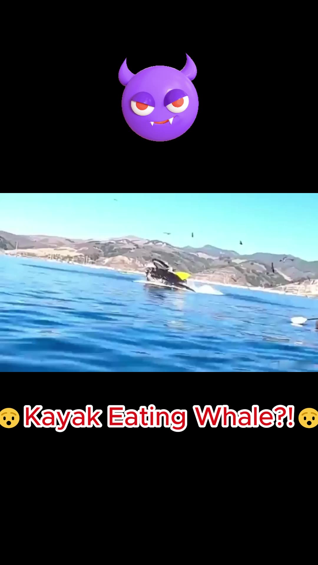 🚨 WHALE ALMOST SWALLOWS KAYAKER ALIVE! UNREAL FOOTAGE! 😱🐋🔥