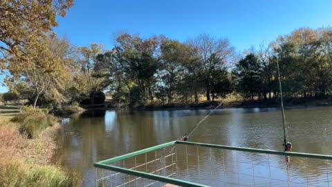 Morning Prayer,Daily Office