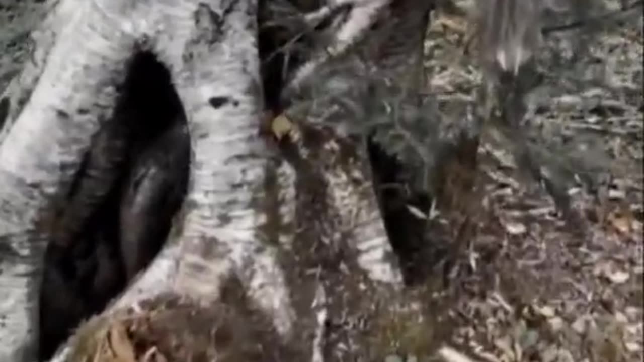 😨🧙‍♀️ This Witch is Locked in Time! | TheHauntingHour