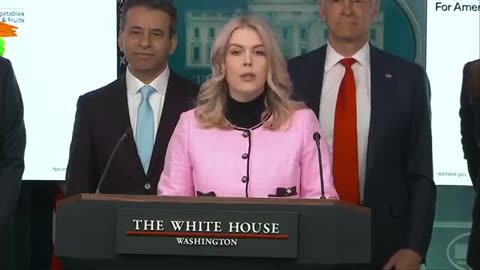 Press Secretary Lists MAHA Victories