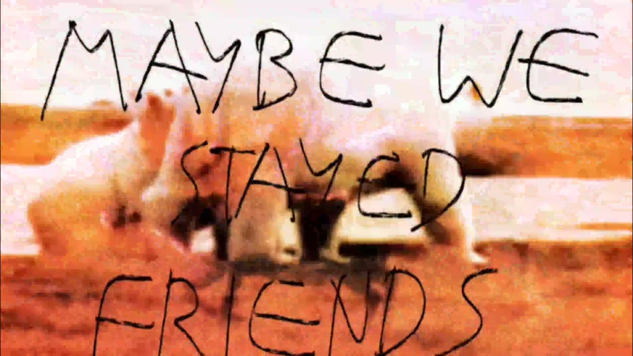 Never Get Used To People - Life Letters ( slowed + r e v e r b) 1 hour loop 4k aesthetic background