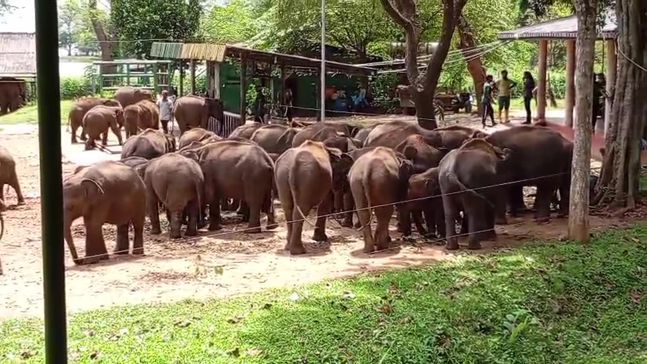 Feeding Time - Part Two