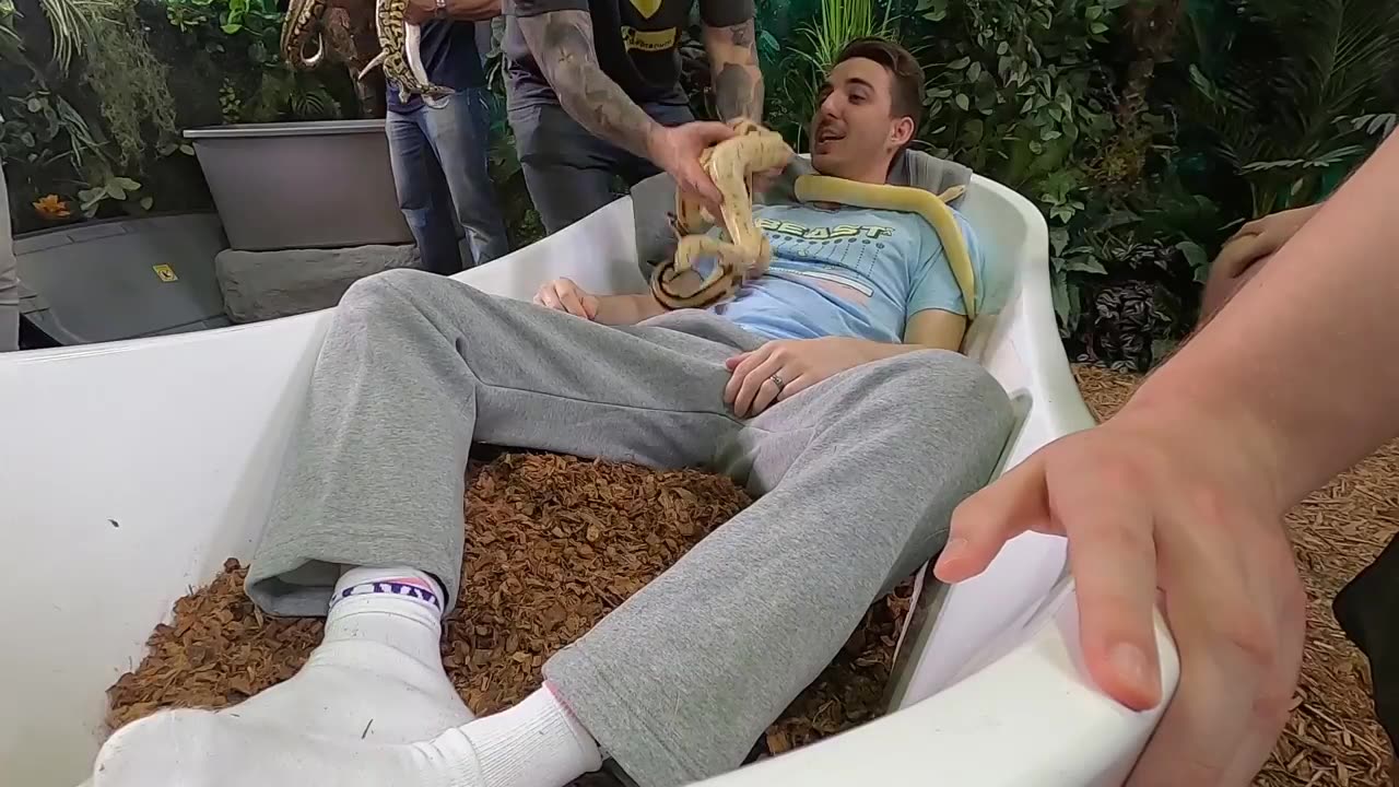 Would You Sit In Snakes For $10,000?