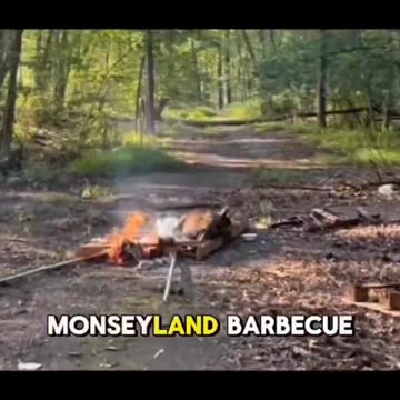Jews caught performing burning ritual on a deer in the woods in Monsey, NY