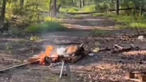 Jews caught performing burning ritual on a deer in the woods in Monsey, NY