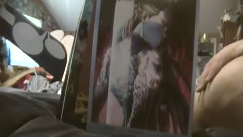 Pop Culture Unboxing Episode 126_ Comic Bento August (Wet) 2017