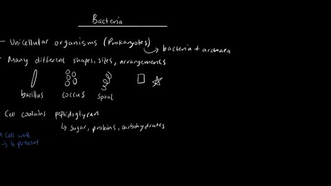 A Quick Overview of Bacteria