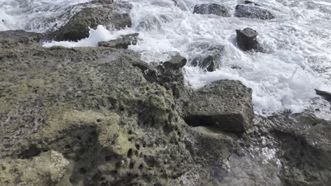 Walk around ENJOY Water and the Reef and Low Tide 4k 60fps #ocean #pacific #zen