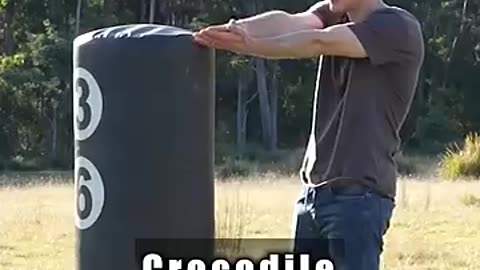 How animals fight - funny video!