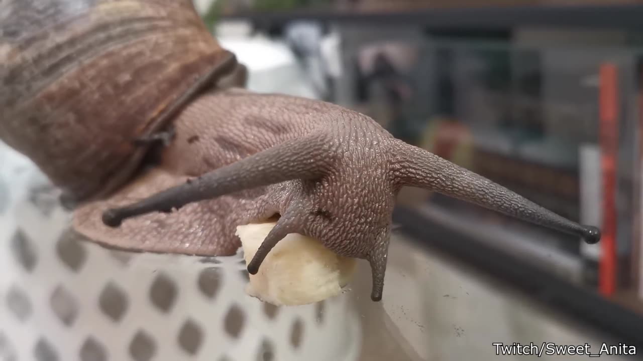 He Really Took a Fish For a Walk - Your Daily Does of Internet