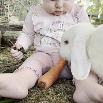 baby kayla meets the bunnies 🐰💕