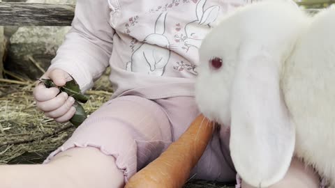 baby kayla meets the bunnies 🐰💕