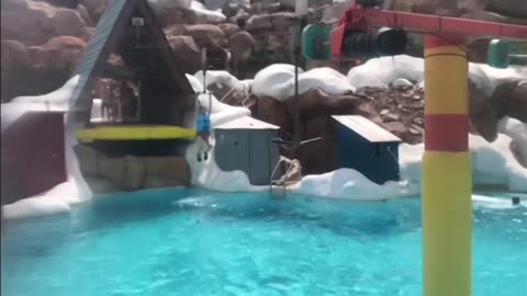 “People Falling Funny 😂 | Try Not to Laugh Compilation”