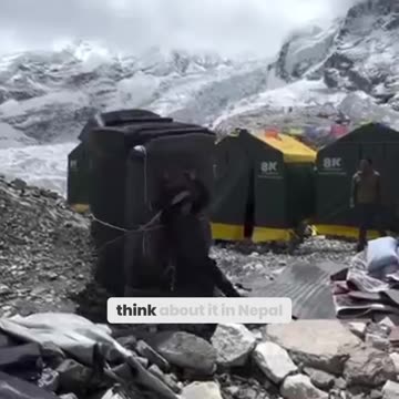 The Untold Brutality of Sherpa Porters: What They Endure to Keep Climbers Alive