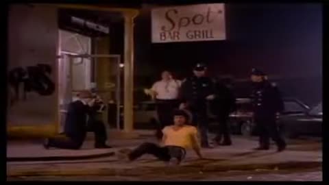 krokus midnight maniac