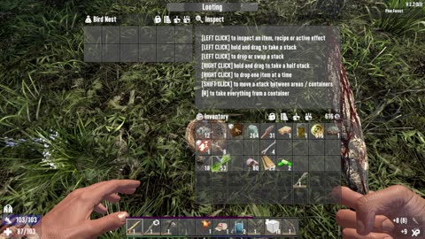 Day of Streaming