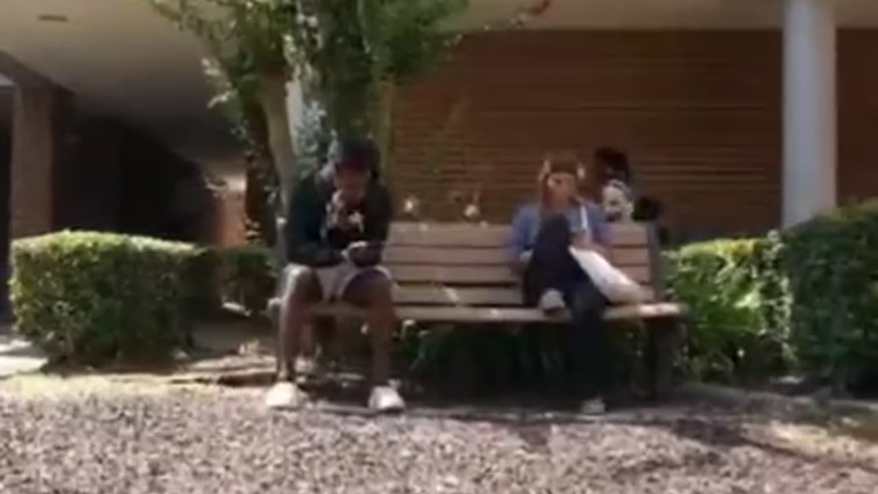 Meme