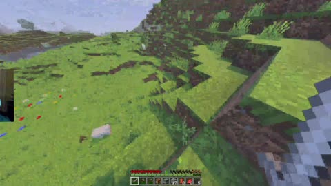 Playing Minecraft
