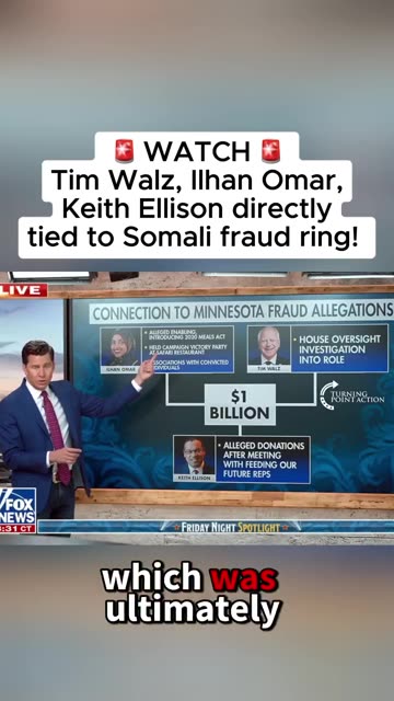 Somali fraud in America