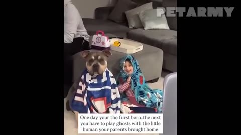 🐶 This Dog Is The Sweetest Big Brother To His Baby Sister! 😍