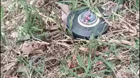Watering your lawn