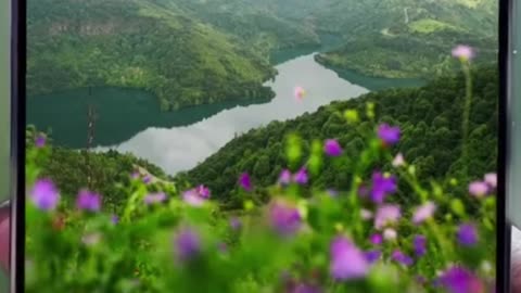 How Smartphone Cameras ACTUALLY Work! || MaarfaVerse