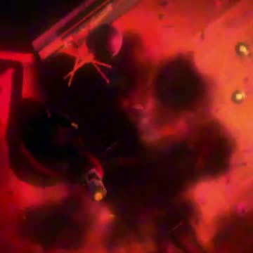 THIS IS NOT FAIR (REPO)