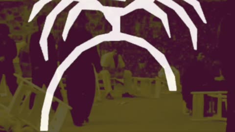 Crack Baby - Music Video - Indie Music by Stefano Belluz - Clip from enter the dragon