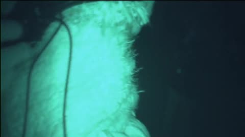 Tan tri Ahura Teachings (2012) 12_2 Enlightenment technique 2 anchoring