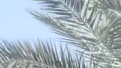 Drones have entered Syrian airspace flying towards Israel
