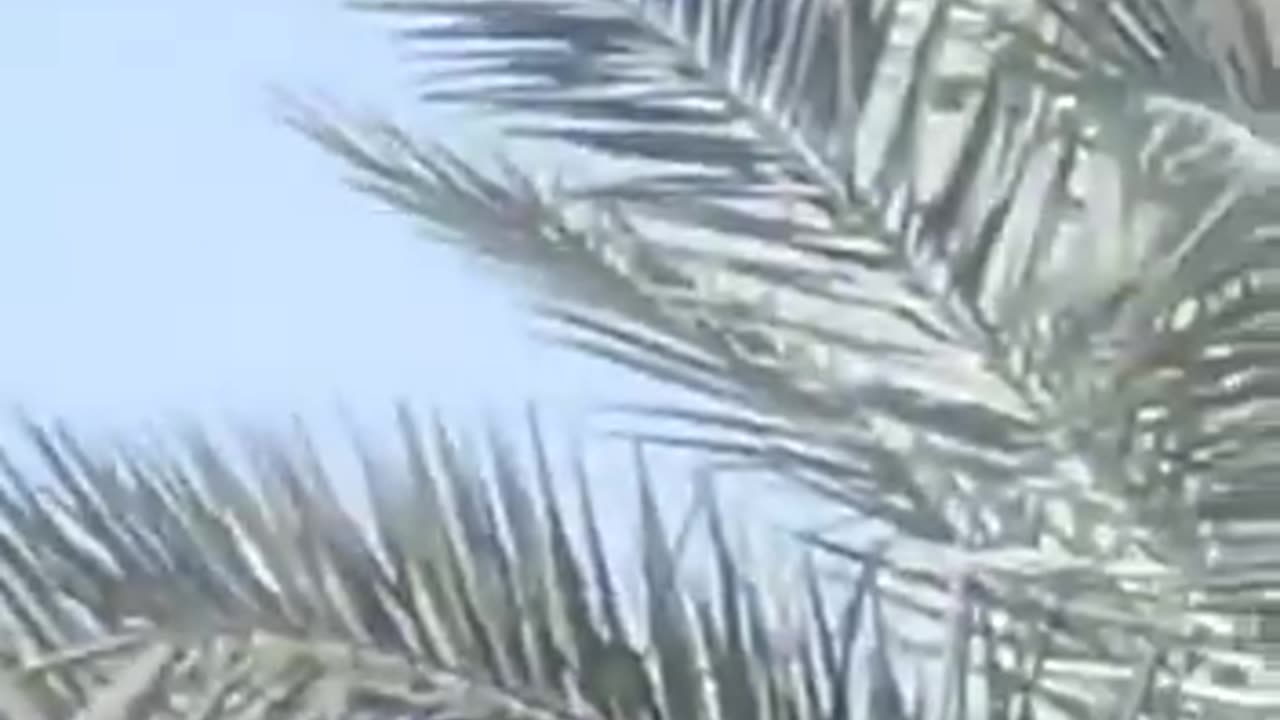Drones have entered Syrian airspace flying towards Israel