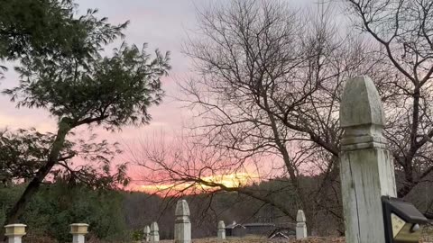 Wake up Call on the Homestead