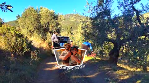 3 FREE Winter Garden Prep Tips | Budget Gardening Hacks + Greece Olive Harvest Teaser