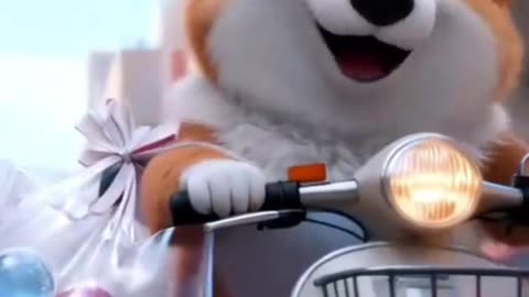 AI Cat and Dog | Ultra Realistic Funny AI Animals 2025