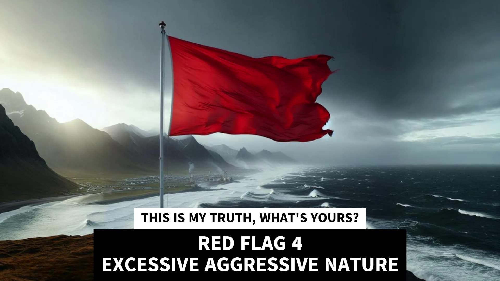 RED FLAG 4 EXCESSIVE AGGRESSIVE NATURE