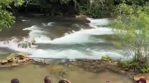 Terrifyingly Beautiful: Tourists Spot a Massive Anaconda in a Brazilian River