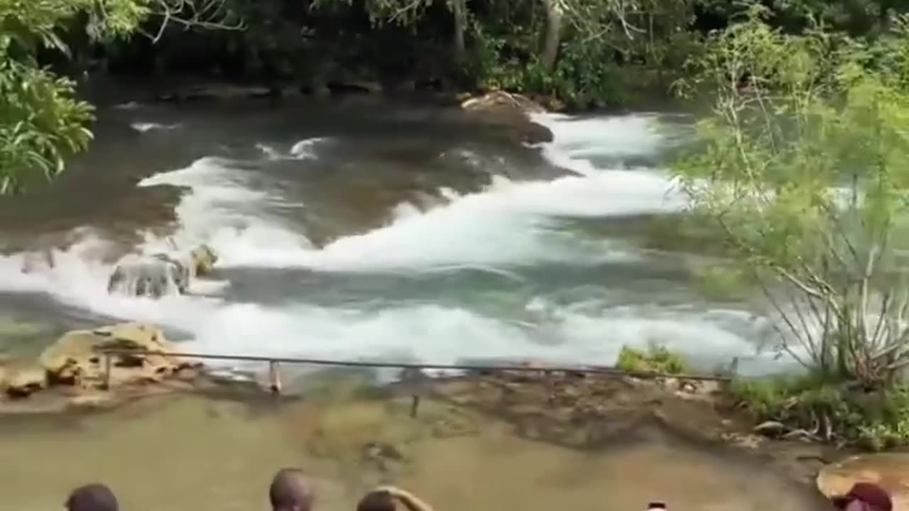 Terrifyingly Beautiful: Tourists Spot a Massive Anaconda in a Brazilian River