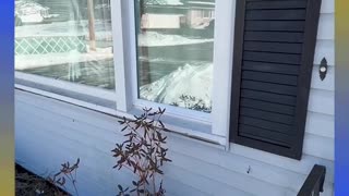 Blacks abusing elders at care facility - Maine News