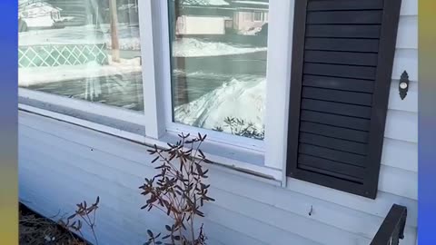 Blacks abusing elders at care facility - Maine News