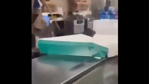 gorilla nigger escapes from zoo citizen responds