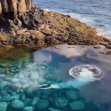 Top Videos You Have to See to Believe 💯 2026