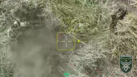 Ukrainian Bomber Drones Obliterate Russian Infantry
