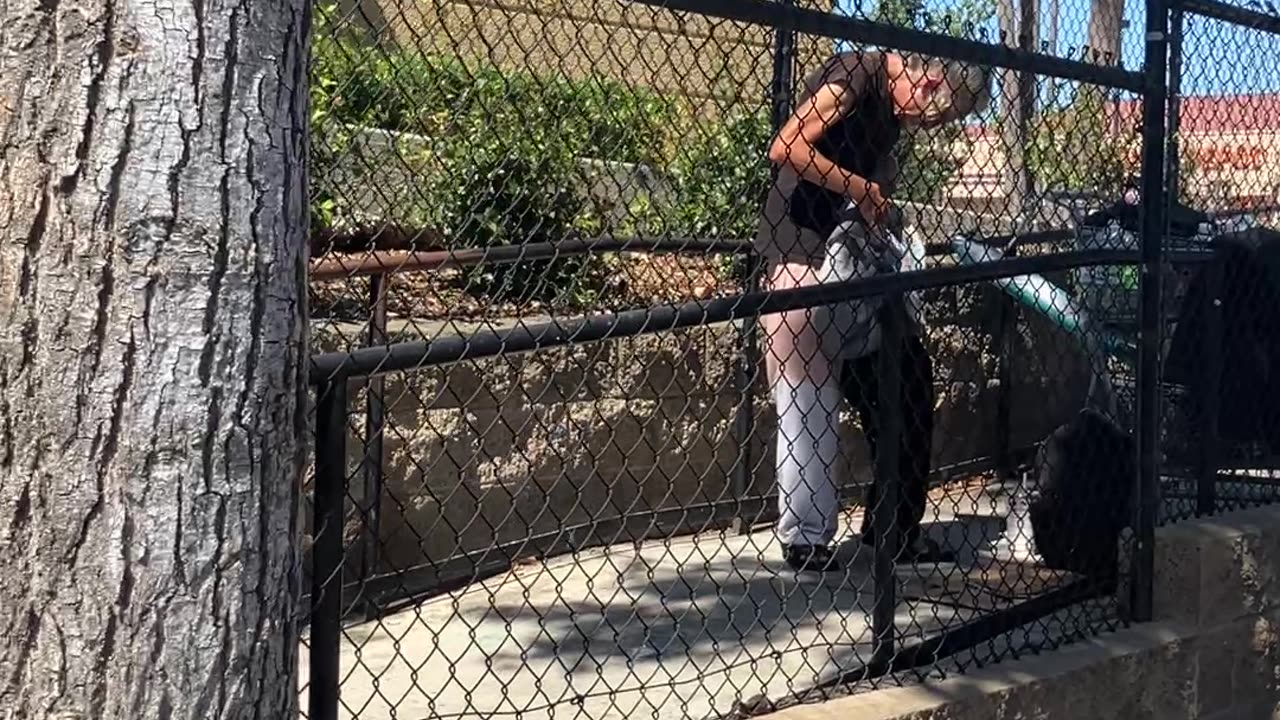 Homeless Addict Comes After Me Because She Doesn't Like Cameras