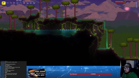 Terraria and the chambers of falling in deep holes