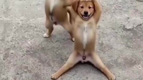 Funny funny