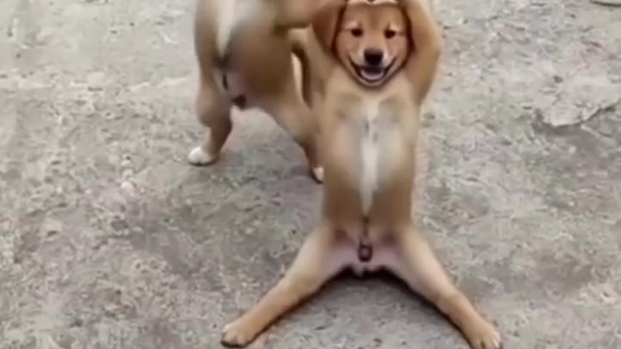 Funny funny
