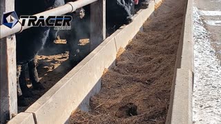 Trent Loos in the Morning - 9/2/2025