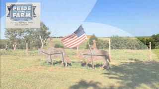 Trent Loos in the Morning - 9/2/2025