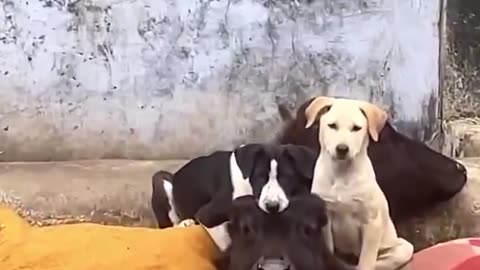 this love does not hurry or demand. It simply remains, saying without voice: you are safe